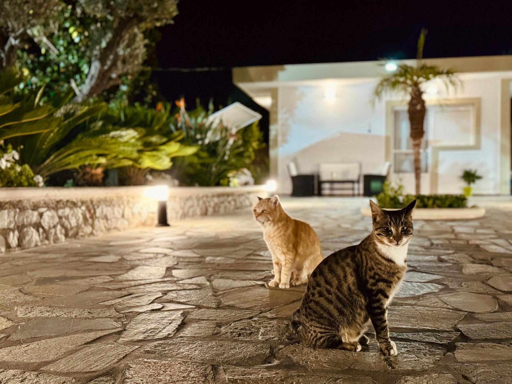 Archangelos Garden House Dış mekan fotoğraf