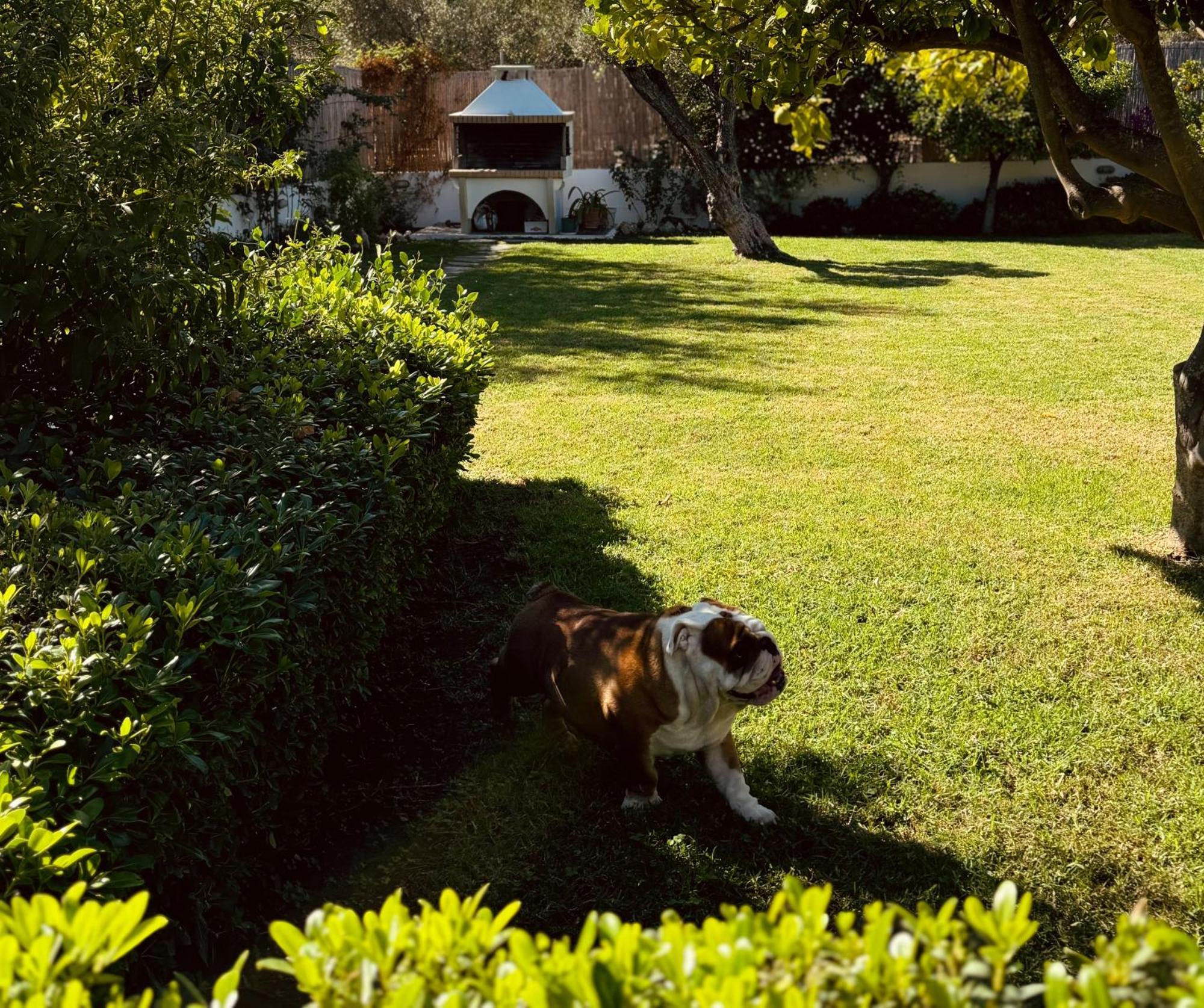 Archangelos Garden House Dış mekan fotoğraf